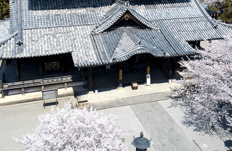 写真で綴る粉河寺