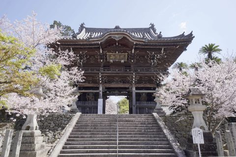 中門 「風猛山」の扁額 紀州十代藩主 治宝侯の直筆