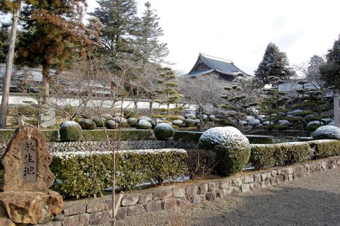 うっすらと雪化粧された境内