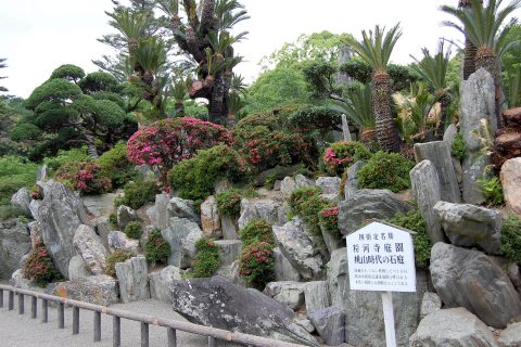 さつきの咲き始めた粉河寺庭園