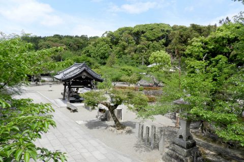 新緑が鮮やかな初夏の境内