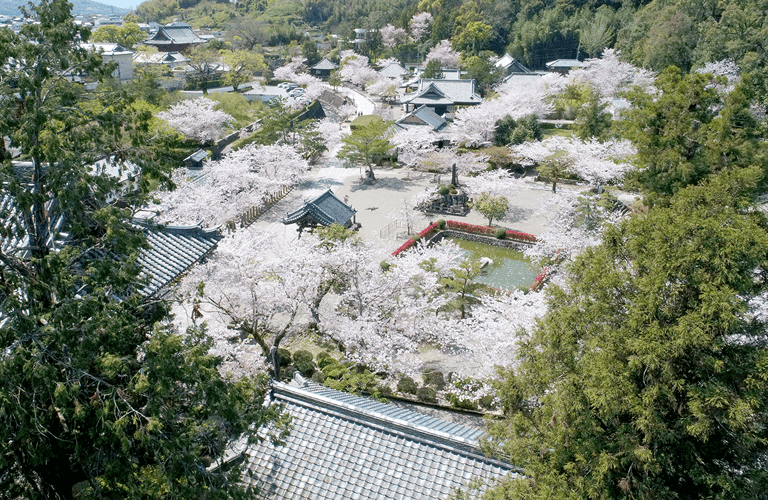 粉河寺案内図